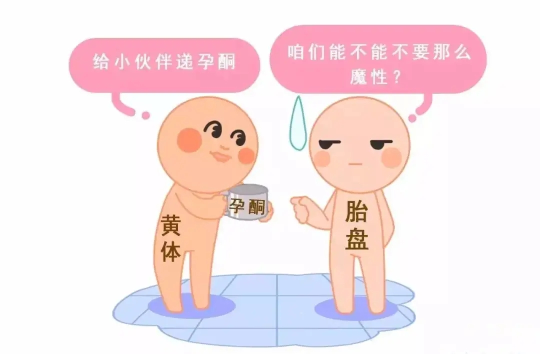 HCG和孕酮低一定會(huì)流產(chǎn)？備孕女性必須知道的孕早期“秘密”