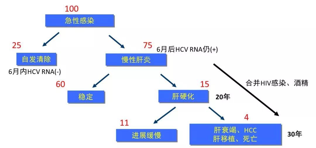丙肝檢測的弱陽性究竟是不是感染了丙肝？
